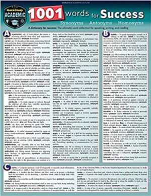 1001 Words for Success